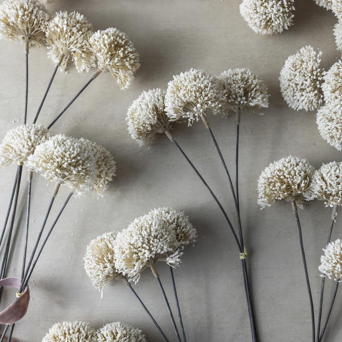 Artificial Allium Cream Bunch - Image 2