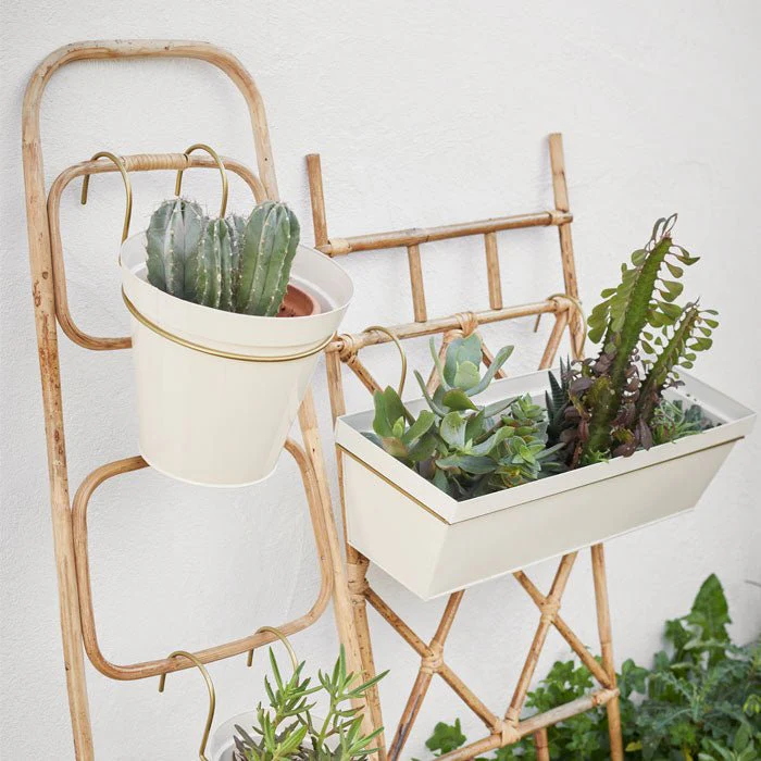 Arden Bamboo Ladder
