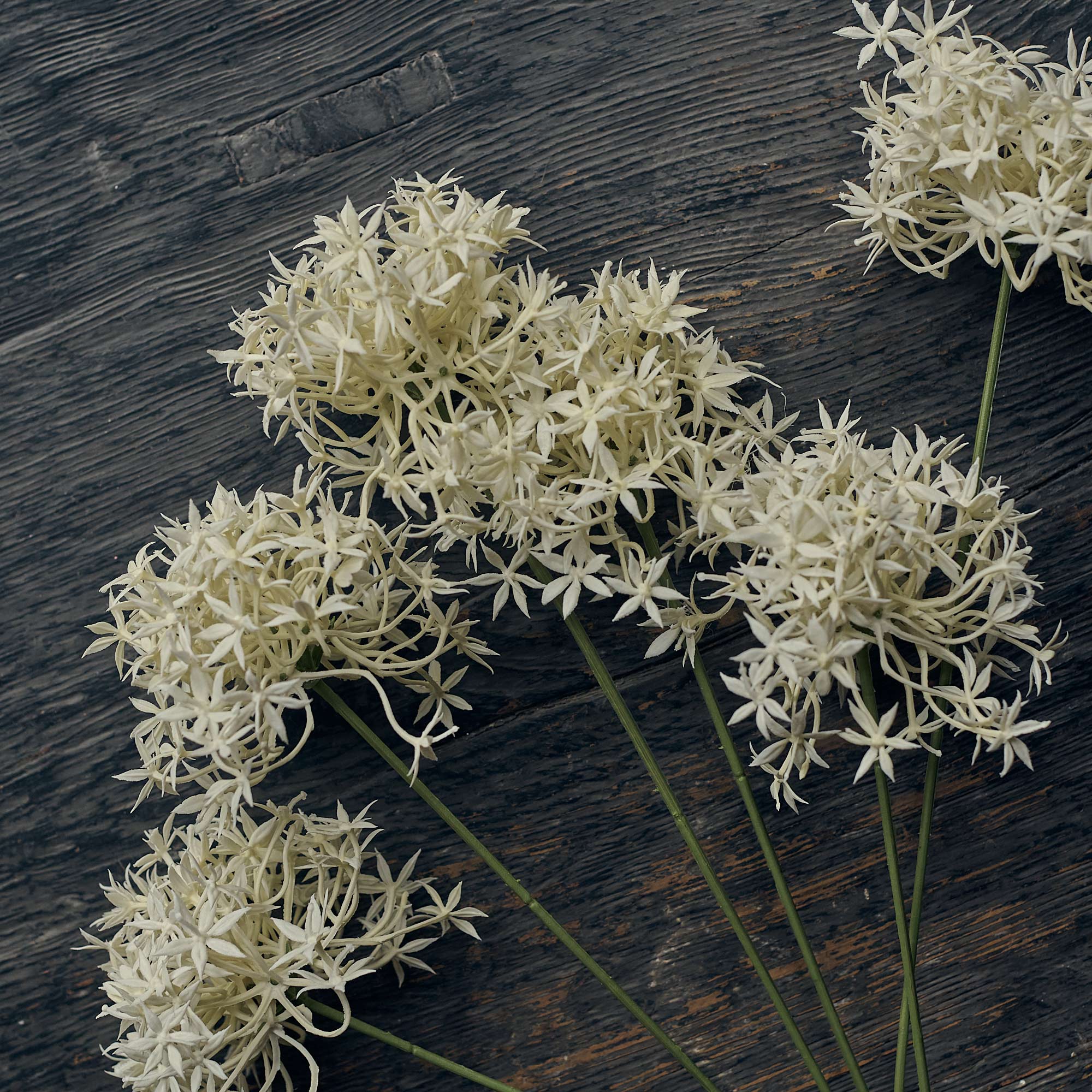 Artificial Allium Bunch, Cream - Image 2