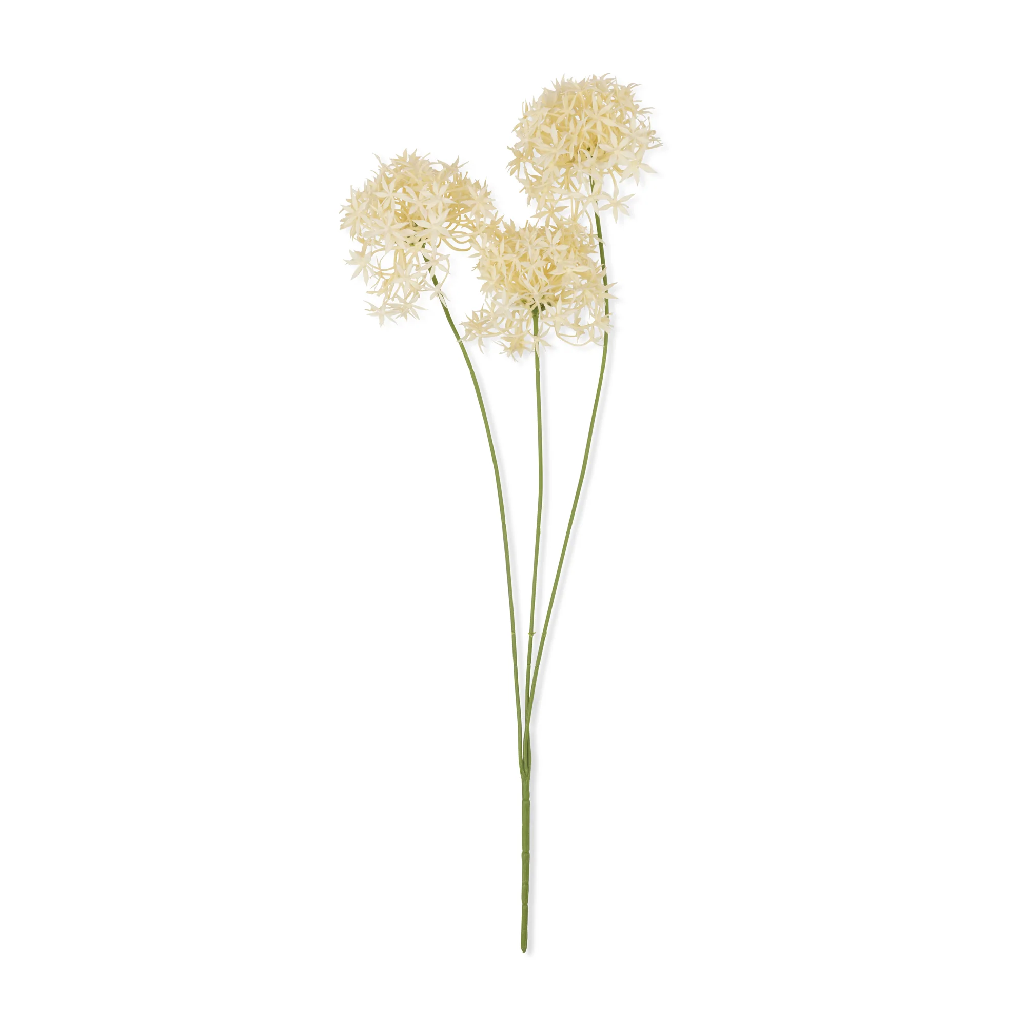 Artificial Allium Bunch, Cream - Image 3
