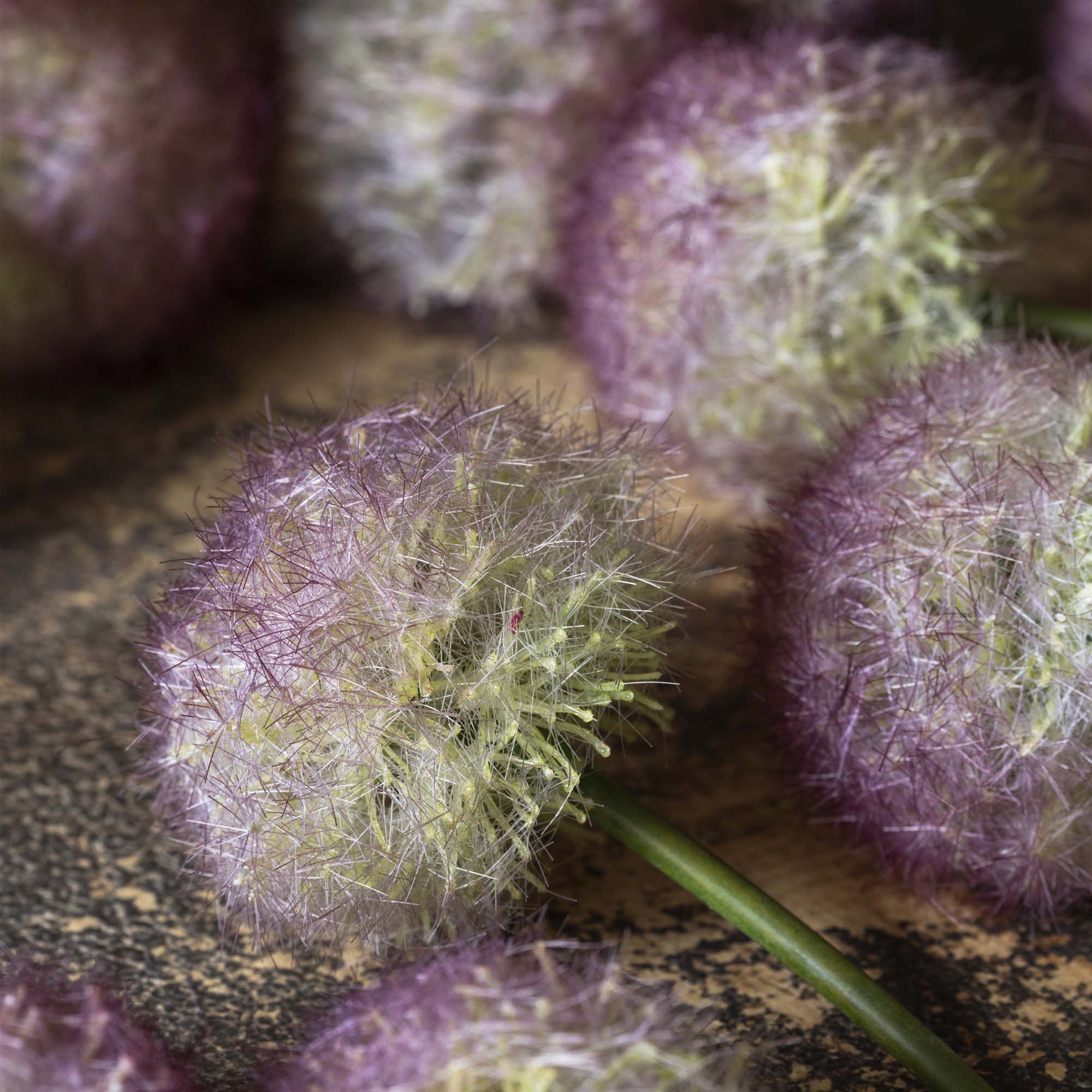 Artificial Allium, Sunset - Image 2