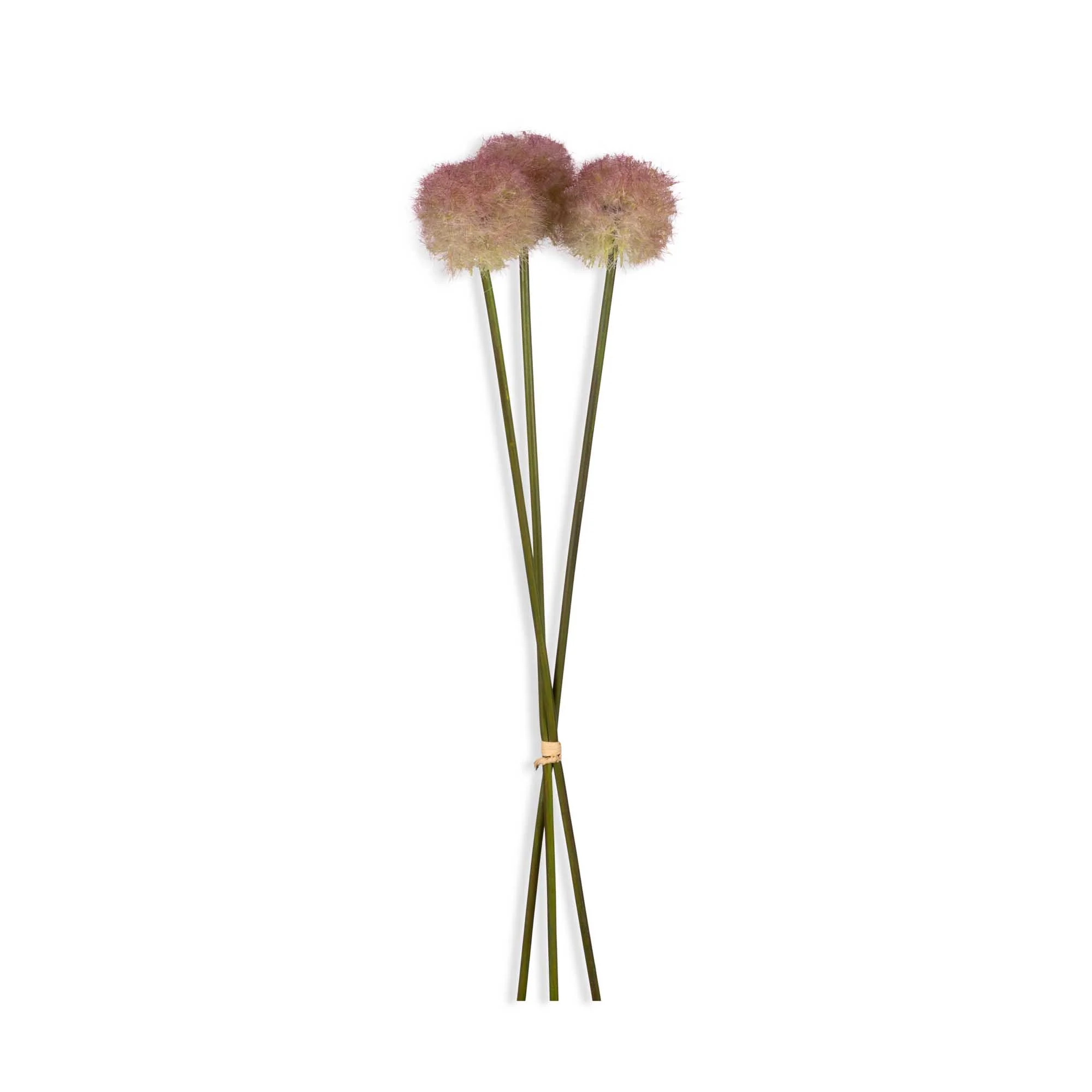 Artificial Allium, Sunset - Image 3