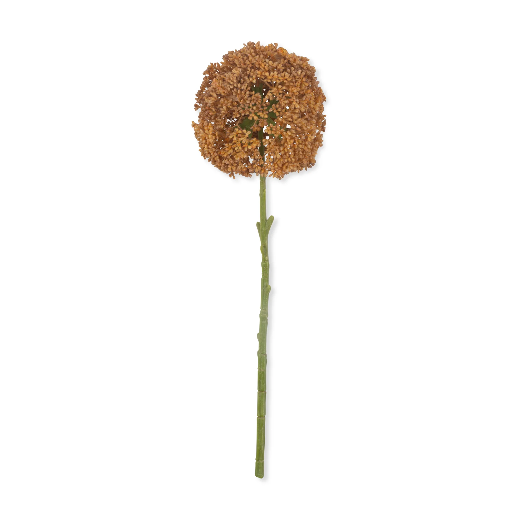 Artificial Allium, Umber - Image 3