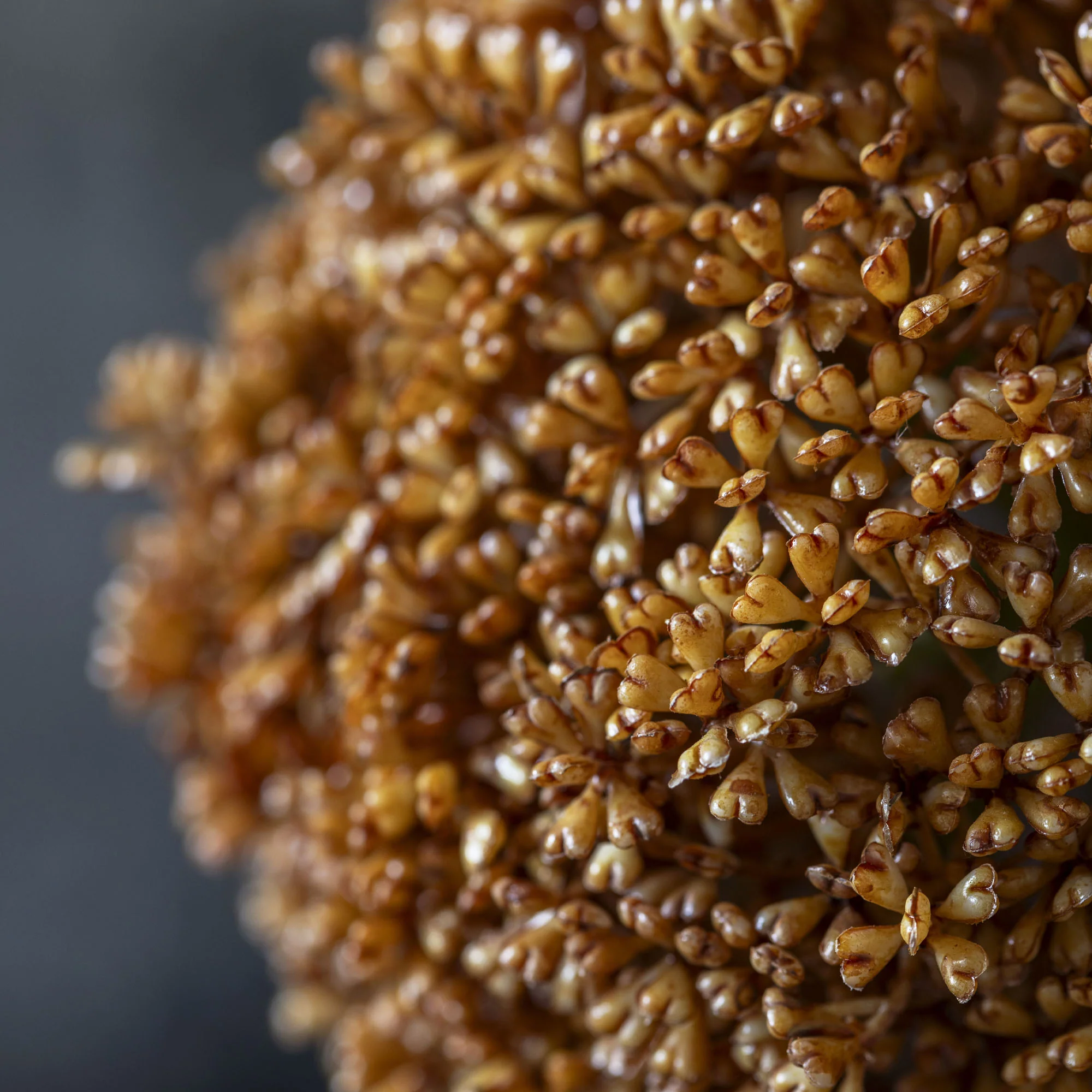 Artificial Allium, Umber - Image 6