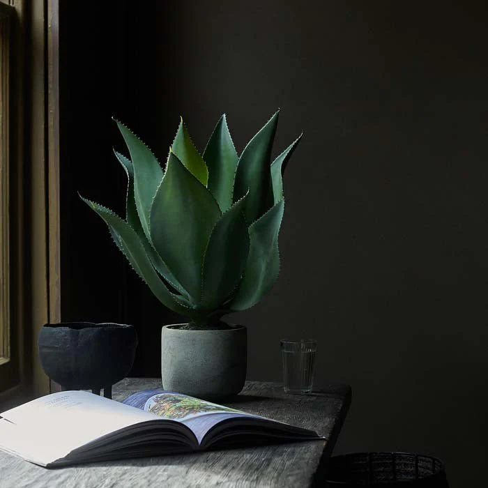 Artificial Aloe Vera in Pot