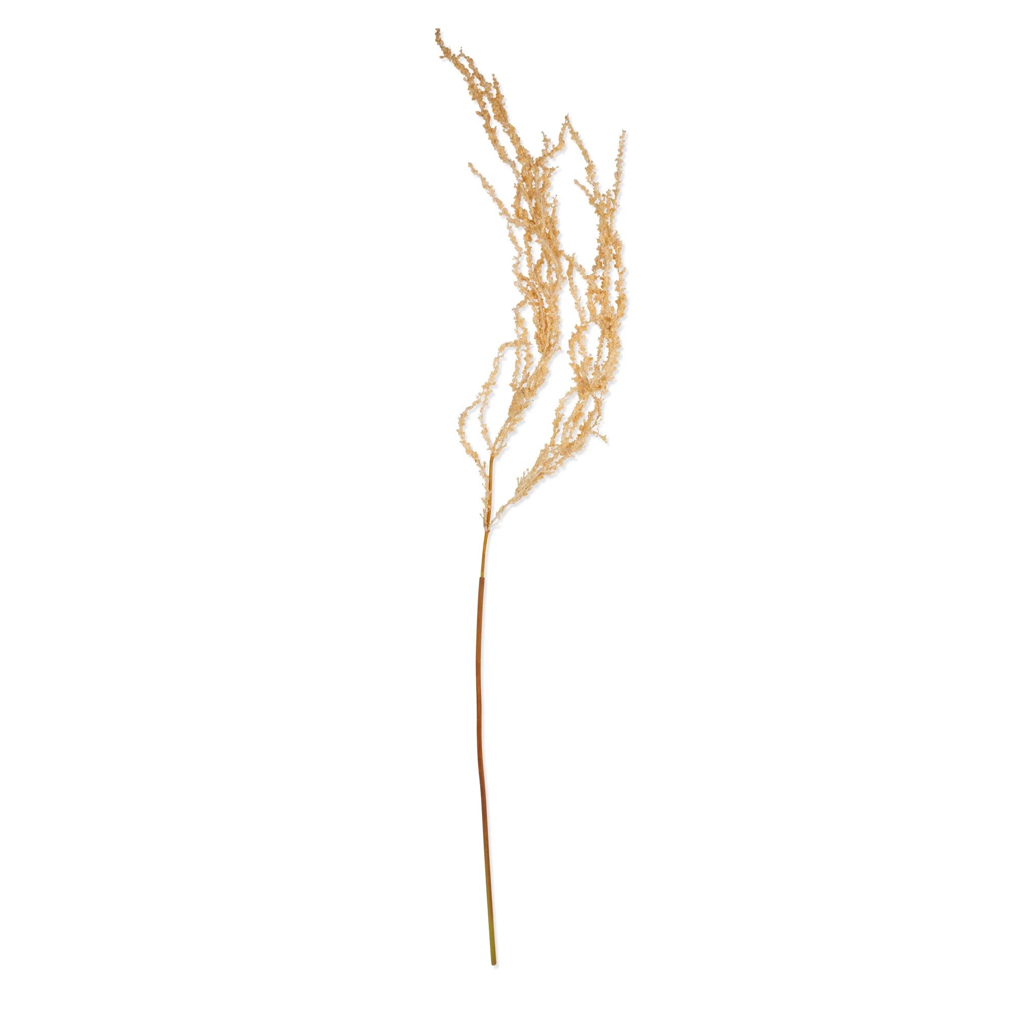 Artificial Amaranthus, Cream - Image 3
