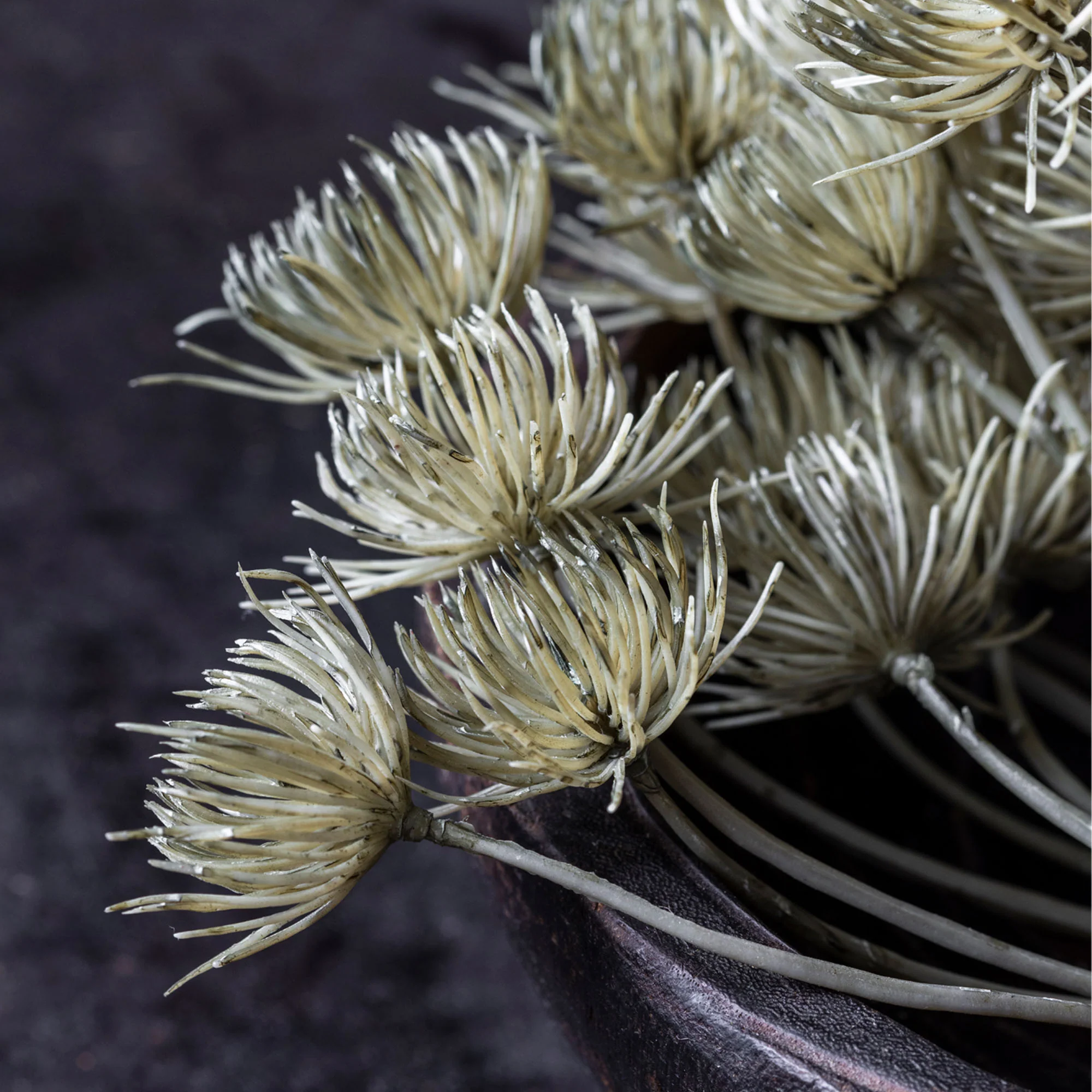 Artificial Angelica, Haze - Image 2