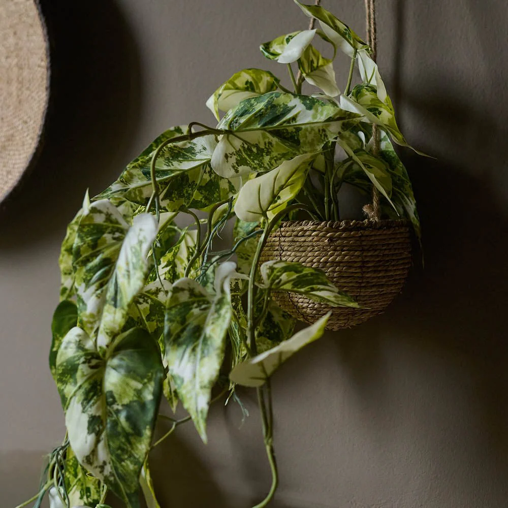 Artificial Anthurium in Hanging Pot - Image 3