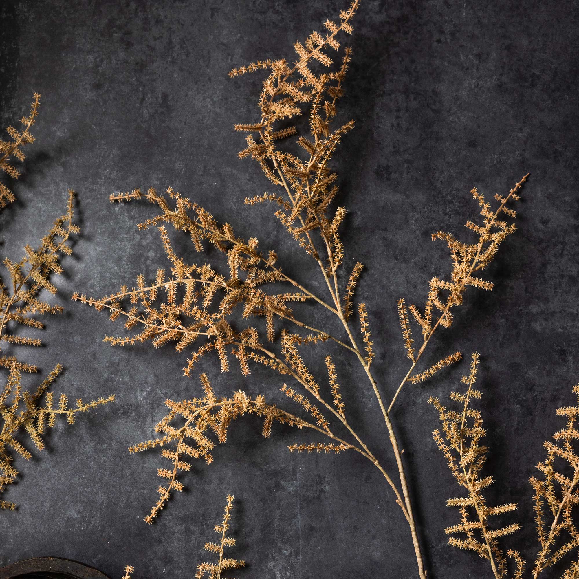 Artificial Asparagus Fern, Desert - Image 2