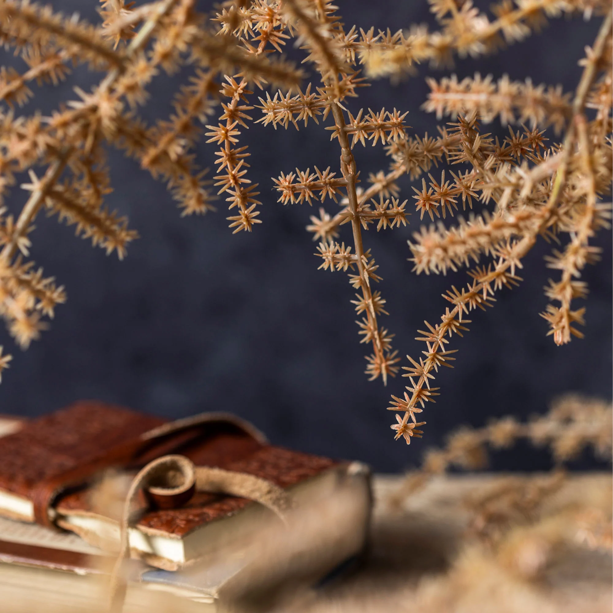 Artificial Asparagus Fern, Desert - Image 6
