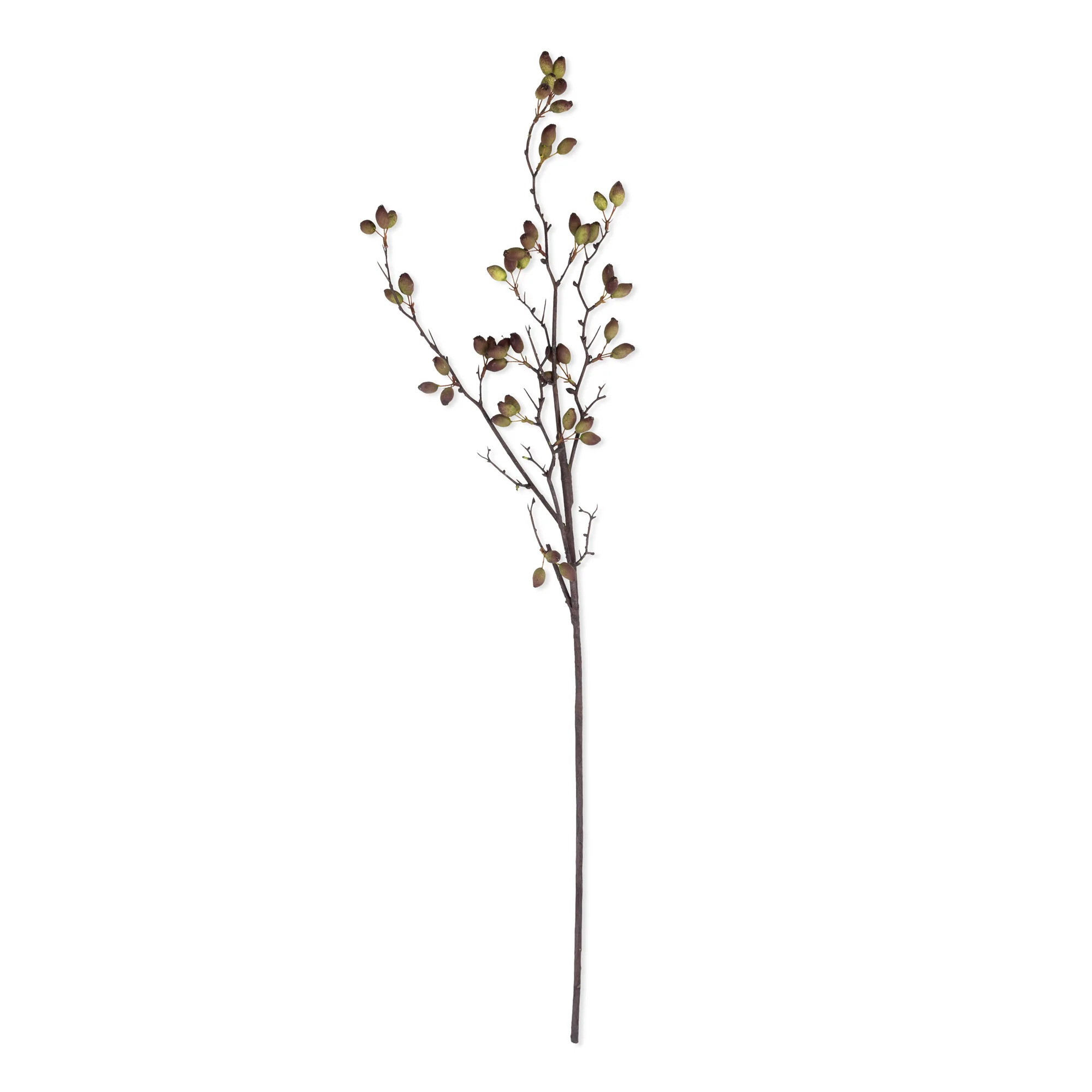 Artificial Barberry - Image 3
