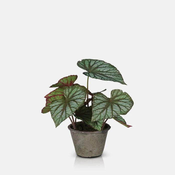 Artificial Begonia in Pot - Image 2