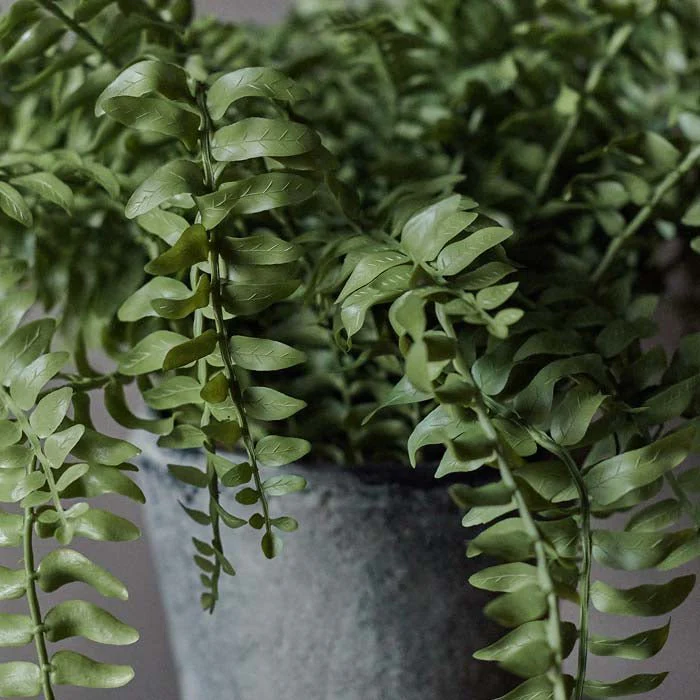 Artificial Boston Fern in Pot - Image 3