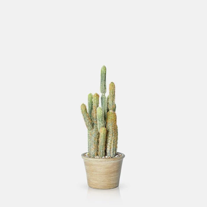Artificial Cereus Cactus in Pot - Image 4