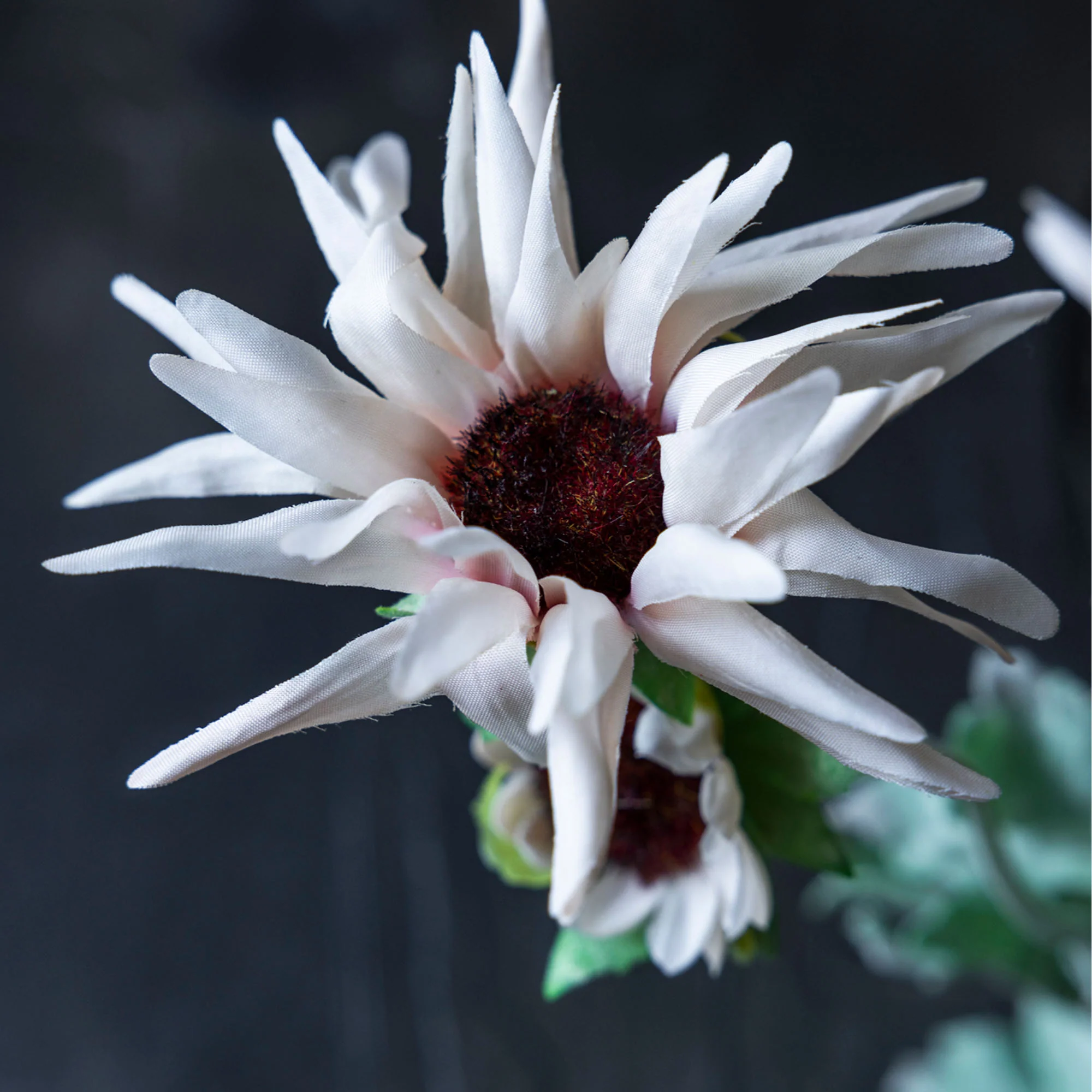 Artificial Chrysanthemum, Blush - Image 2