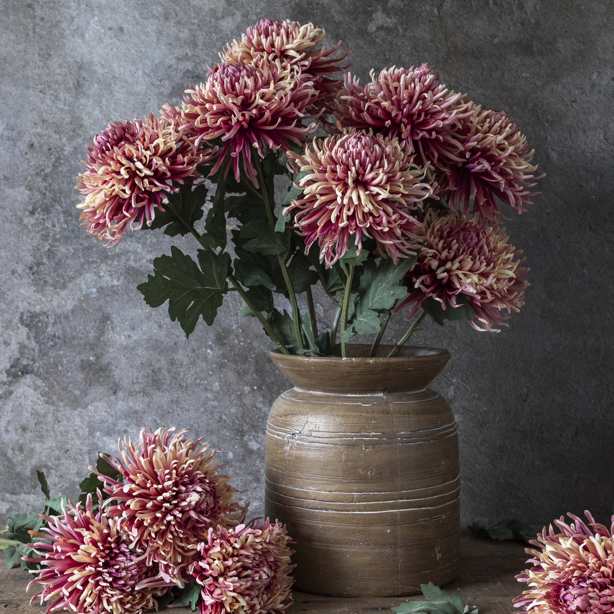 Artificial Chrysanthemum, Sunset - Image 4
