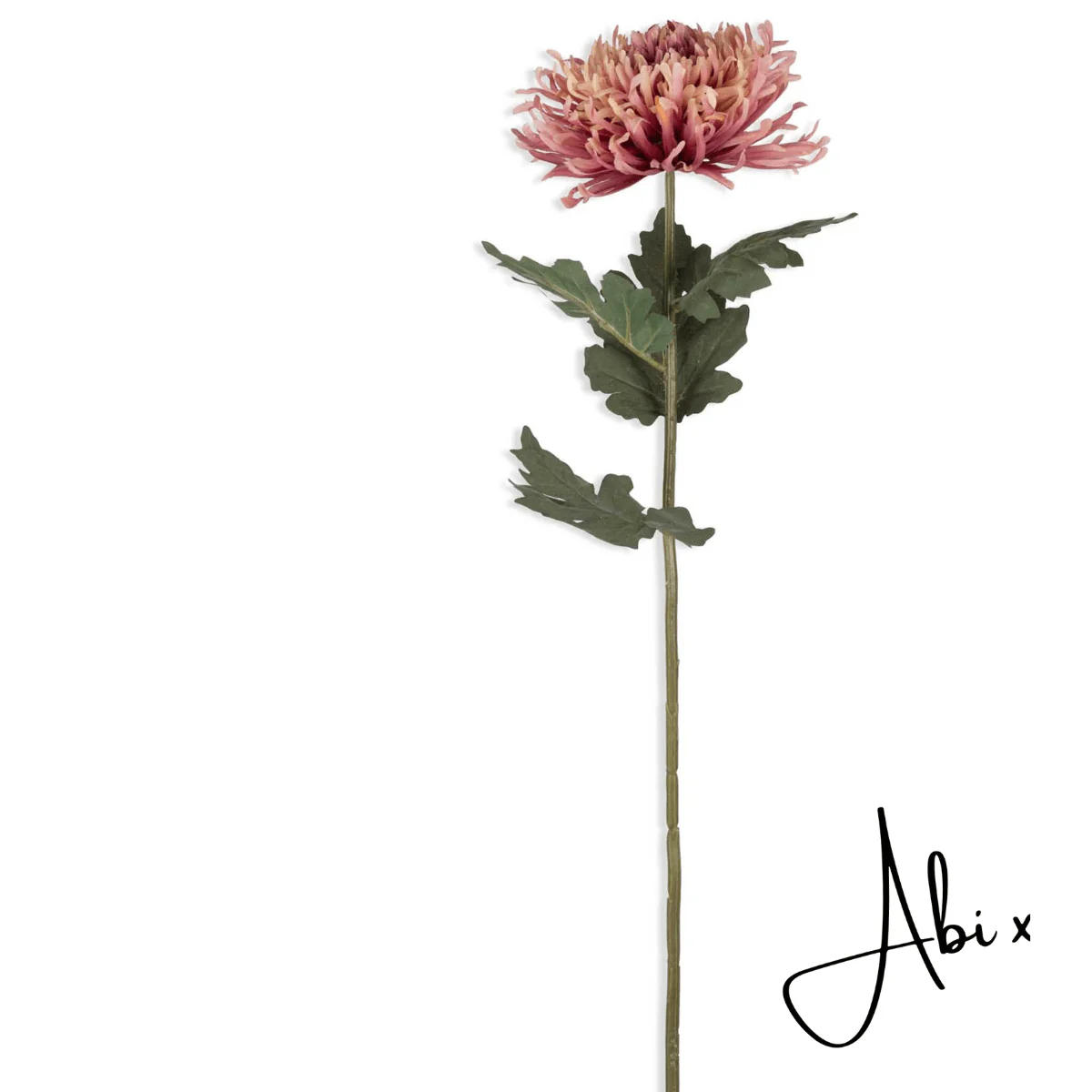 Artificial Chrysanthemum, Sunset - Image 5