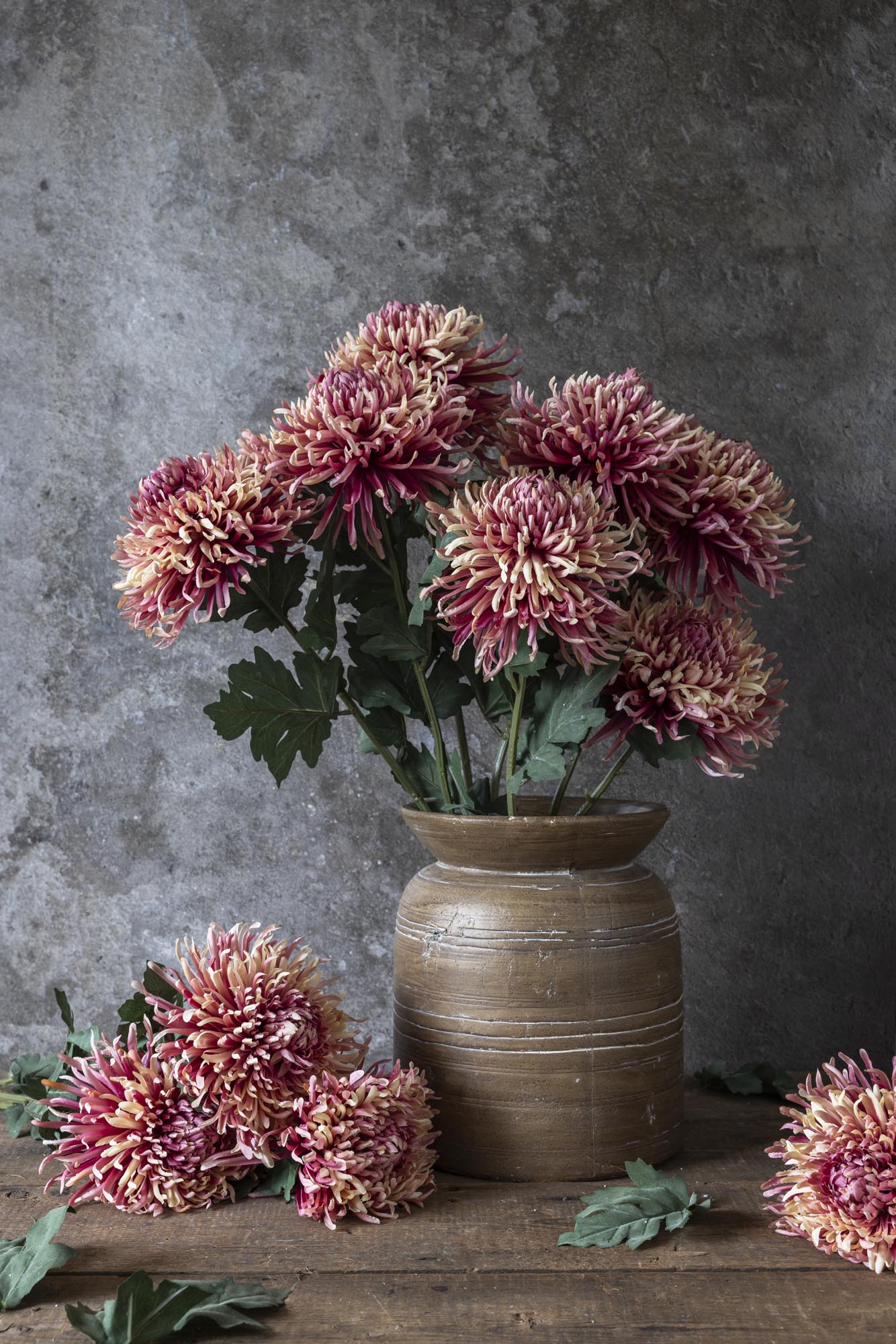Artificial Chrysanthemum, Sunset - Image 8