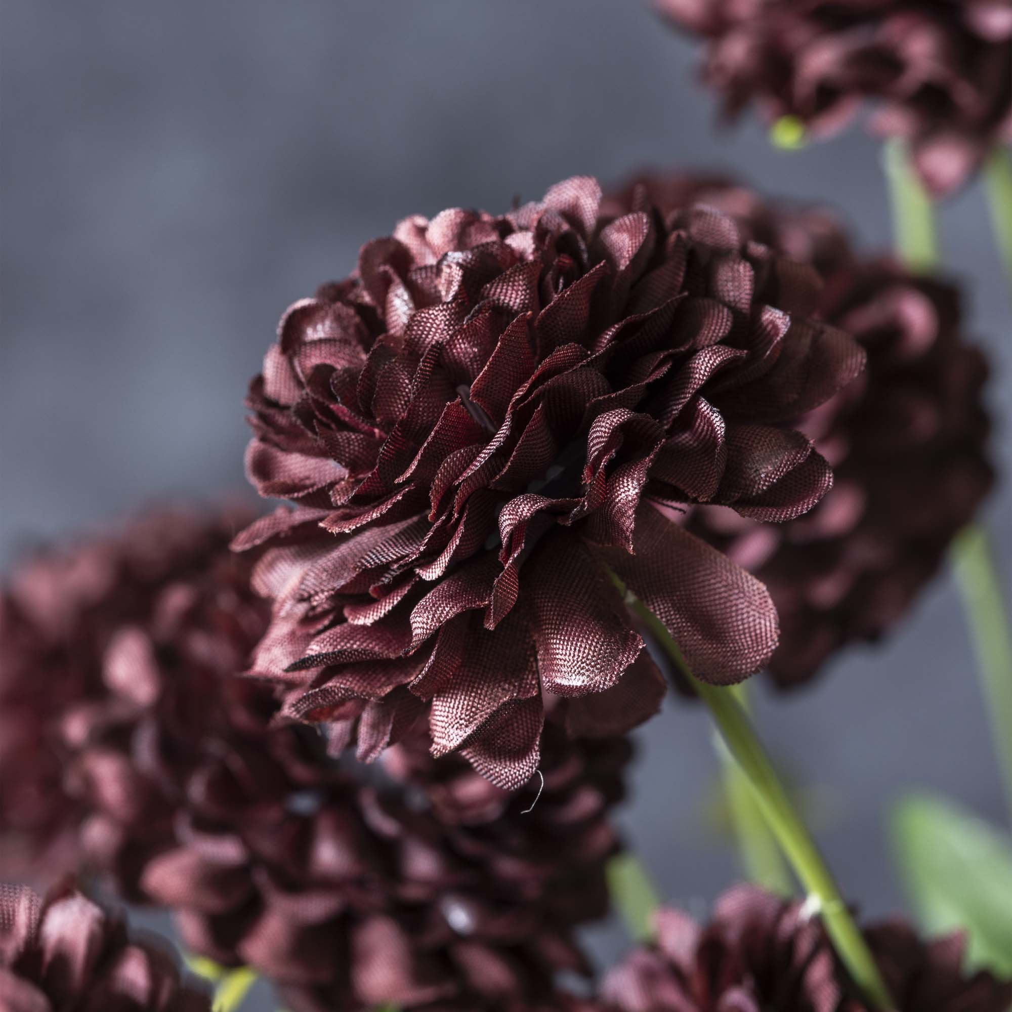 Artificial Clove Stem - Image 2