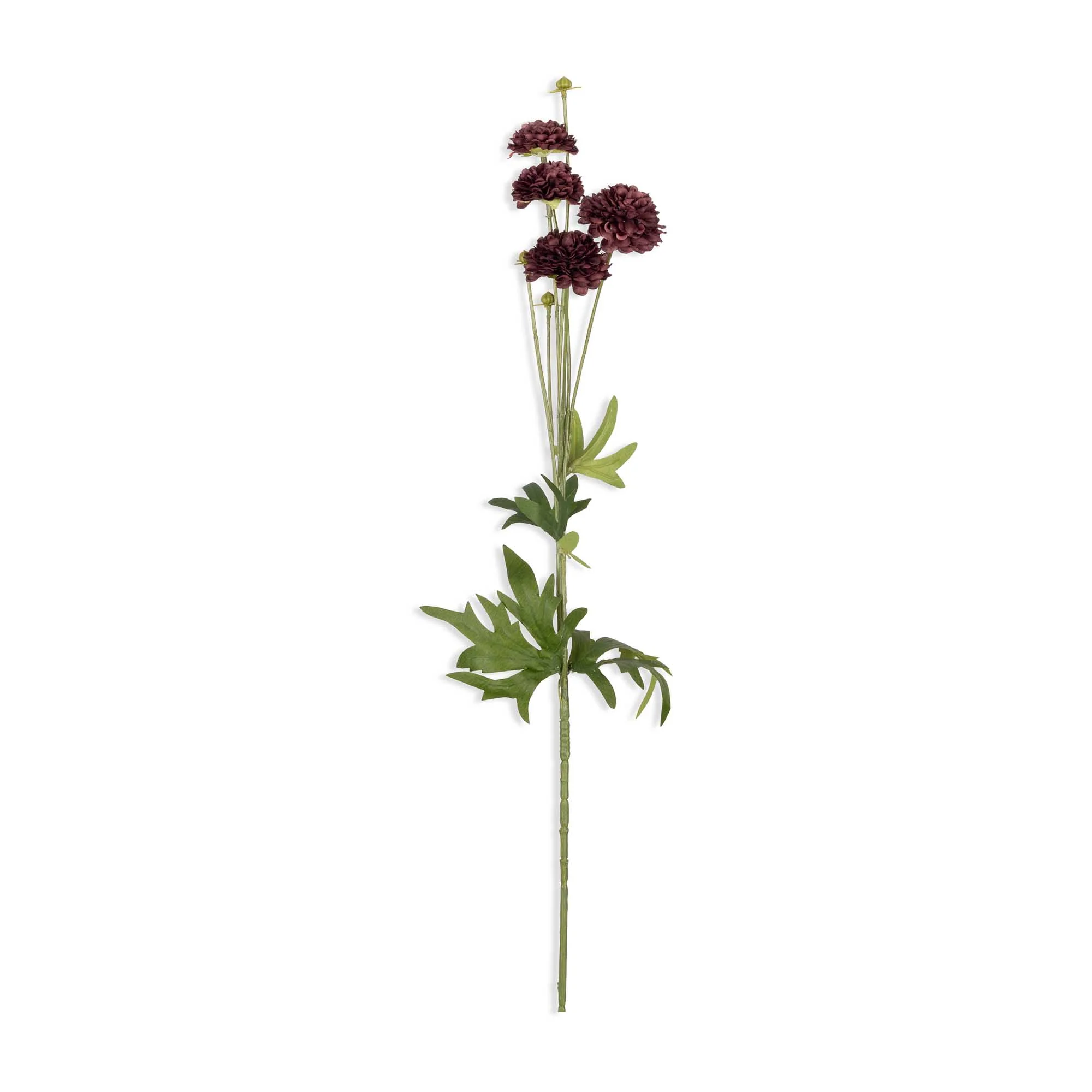 Artificial Clove Stem - Image 3