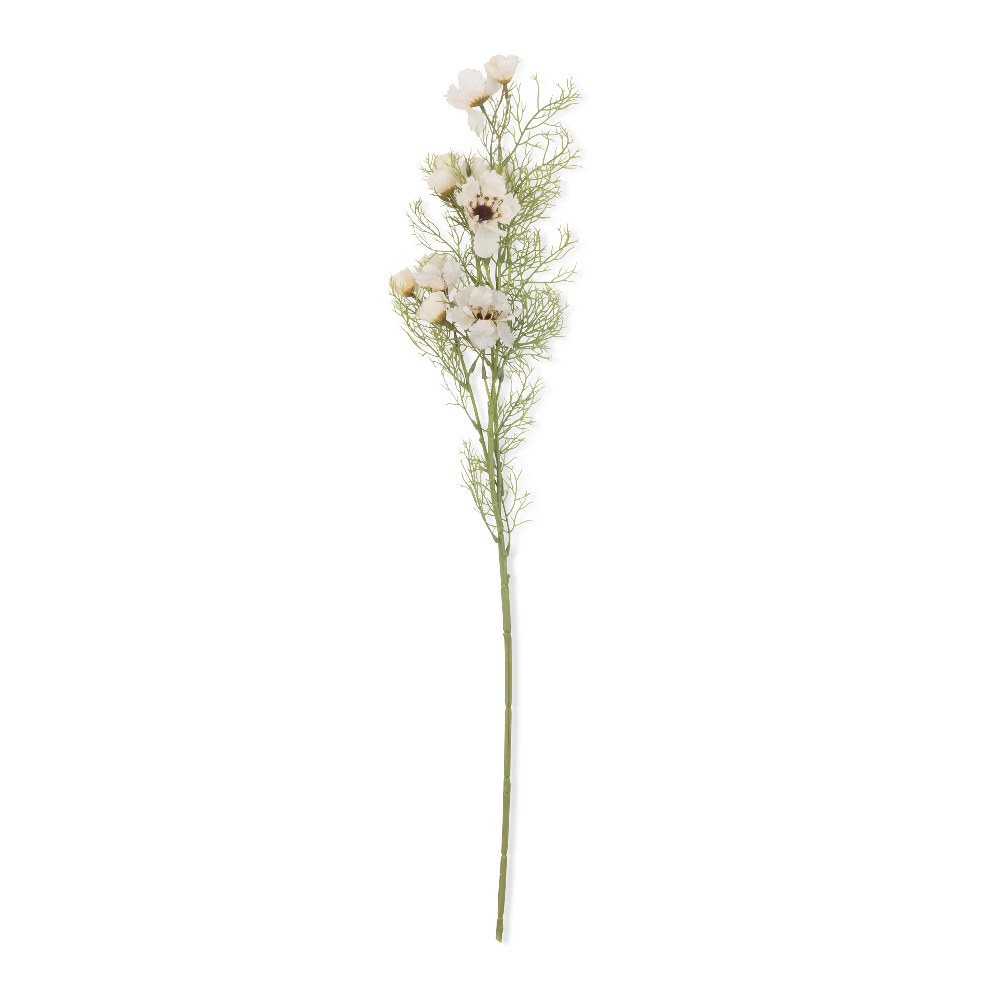Artificial Cosmos, Cream - Image 3