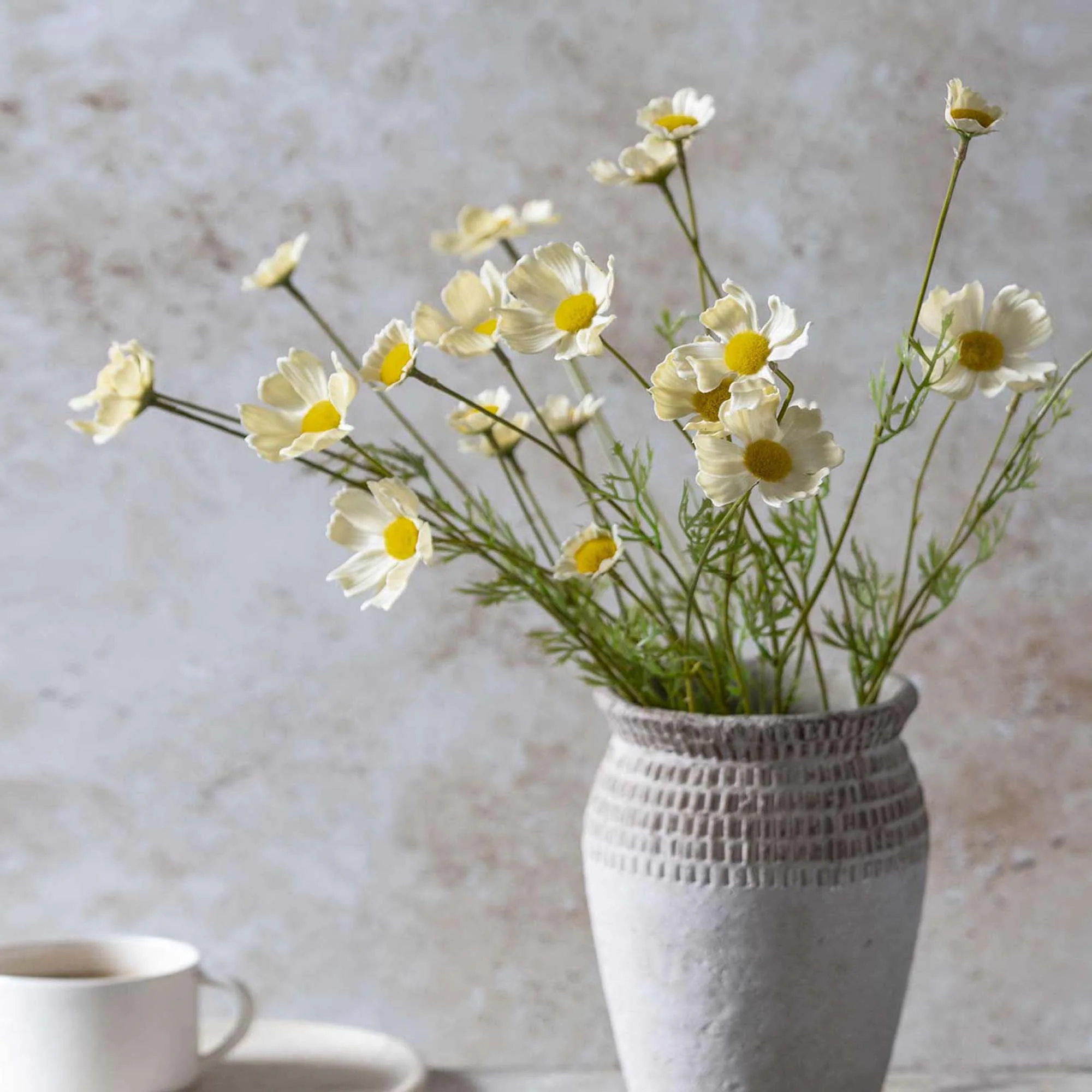 Artificial Cosmos Meadow, Buttermilk Bundle