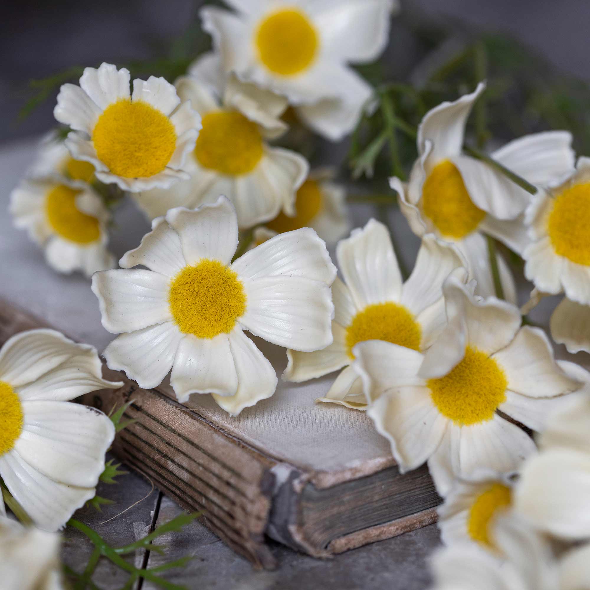 Artificial Cosmos Meadow, Buttermilk Bundle - Image 7