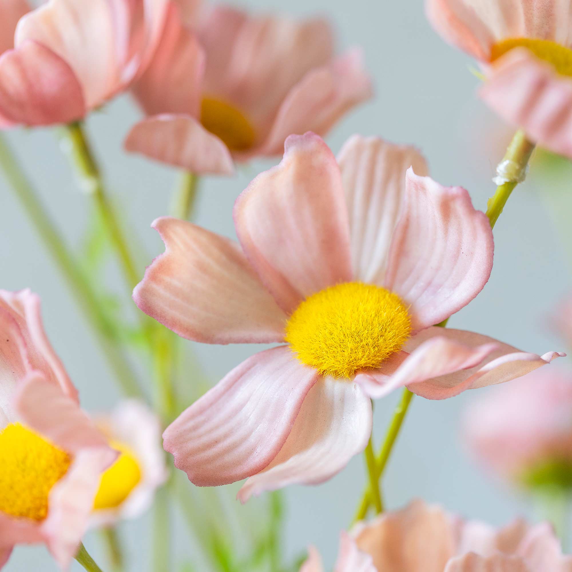 Artificial Cosmos Meadow, Soft Pink Bundle - Image 7