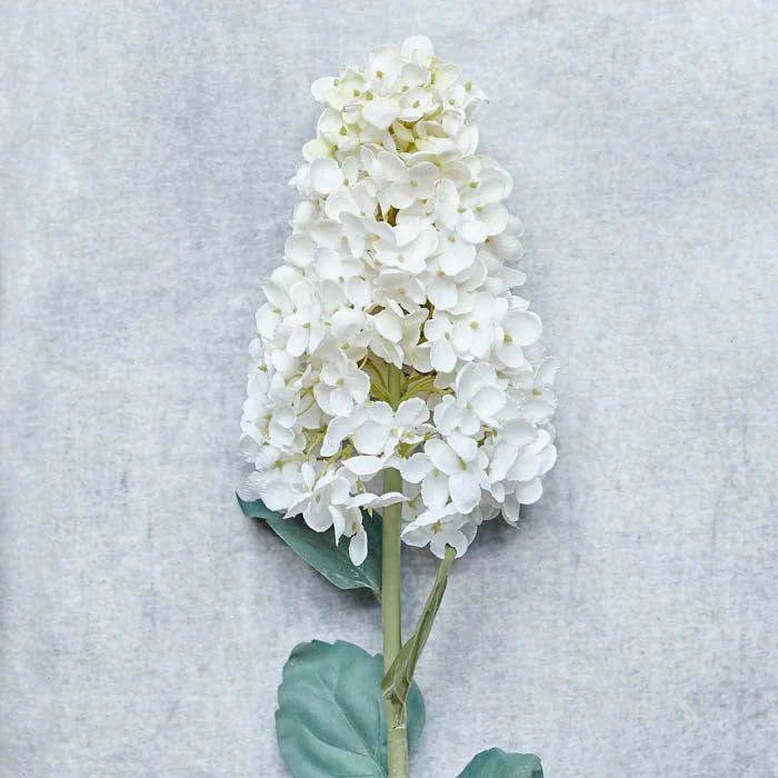 Artificial Hydrangea Paniculata, Cream - Image 5