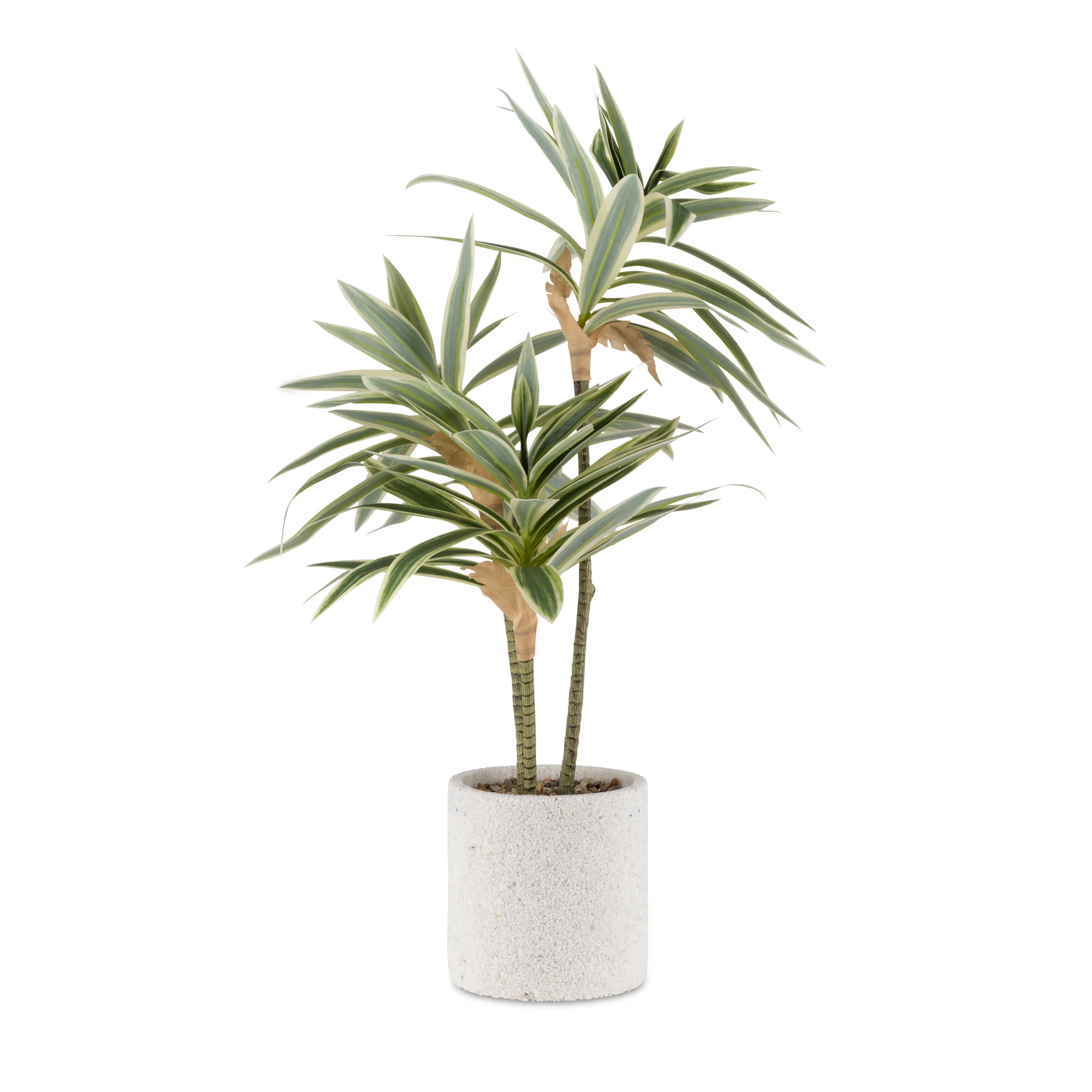 Artificial Dracena - Image 2