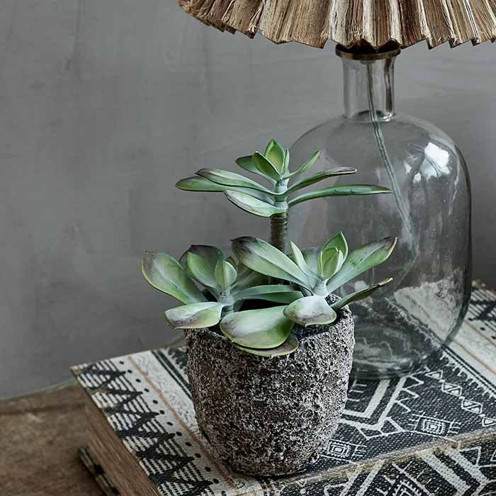 Artificial Echeveria Grus - Image 3