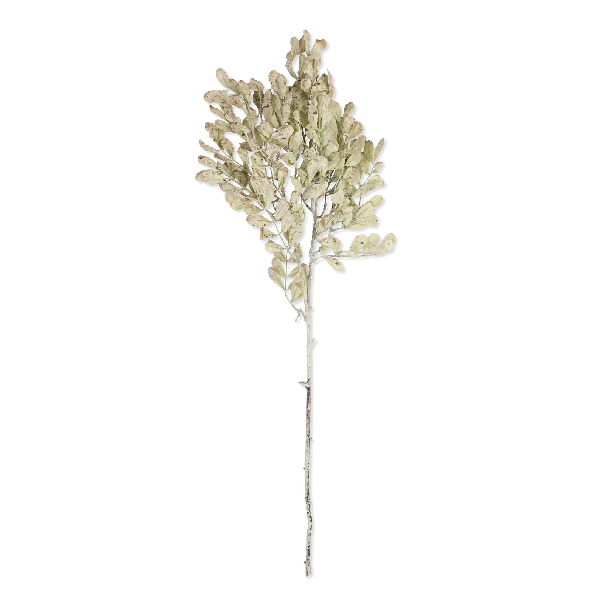 Artificial Eucalyptus, Cream - Image 3