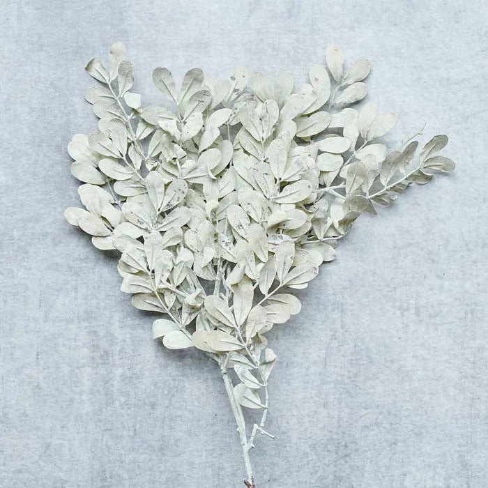 Artificial Eucalyptus, Cream - Image 6
