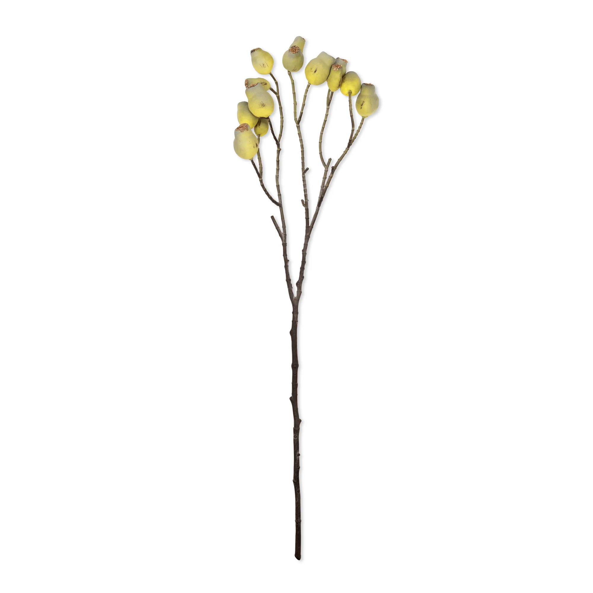 Artificial Eucalyptus Gum Nut - Image 3