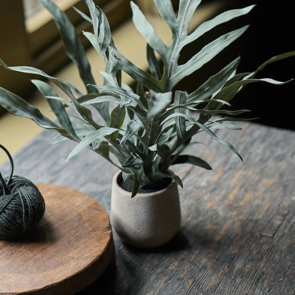 Artificial Eucalyptus in Pot