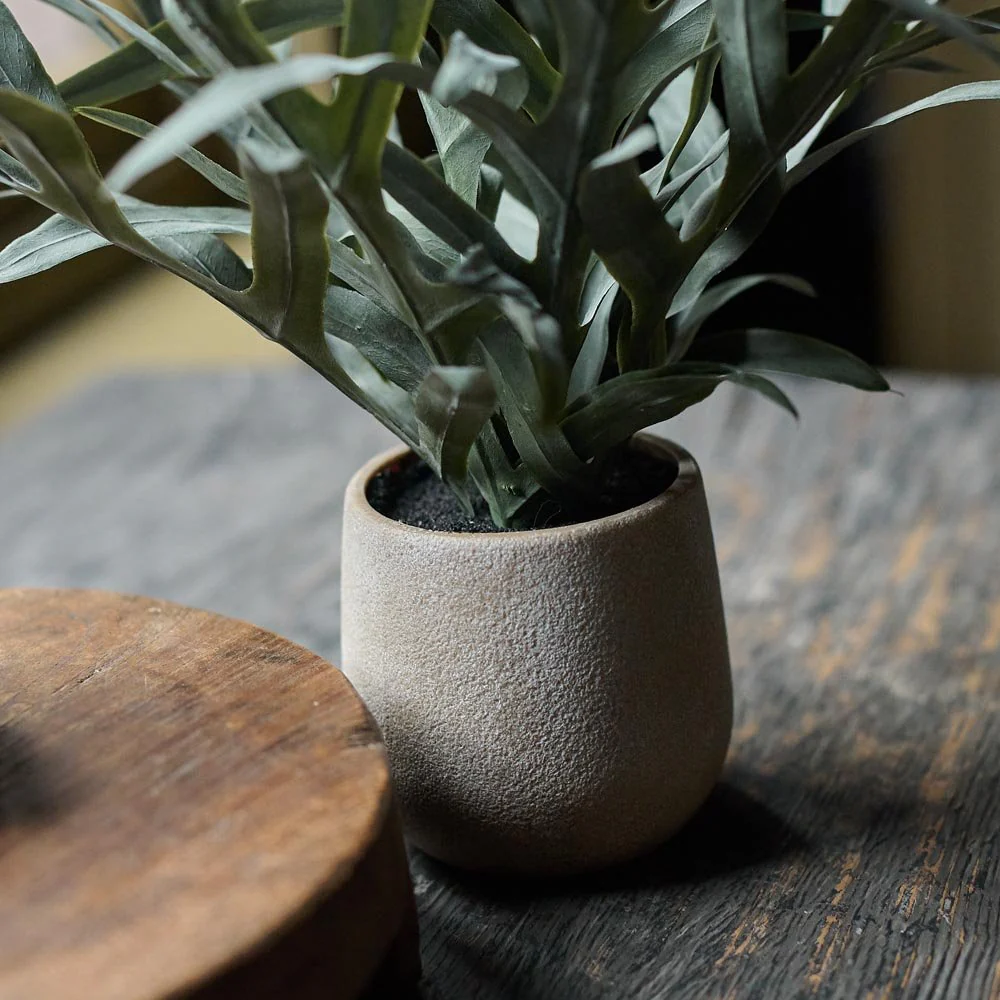 Artificial Eucalyptus in Pot - Image 3