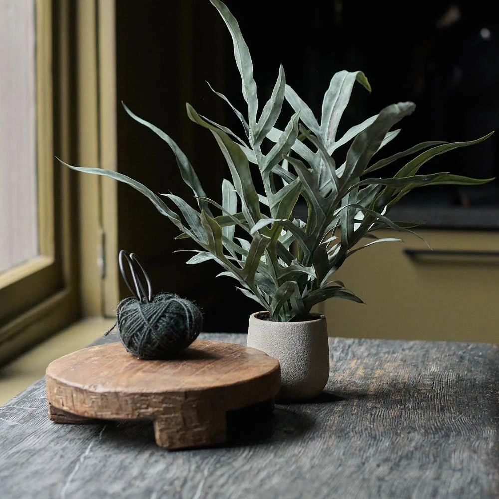 Artificial Eucalyptus in Pot - Image 4