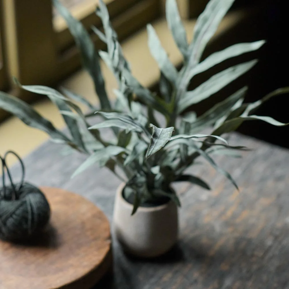 Artificial Eucalyptus in Pot - Image 5