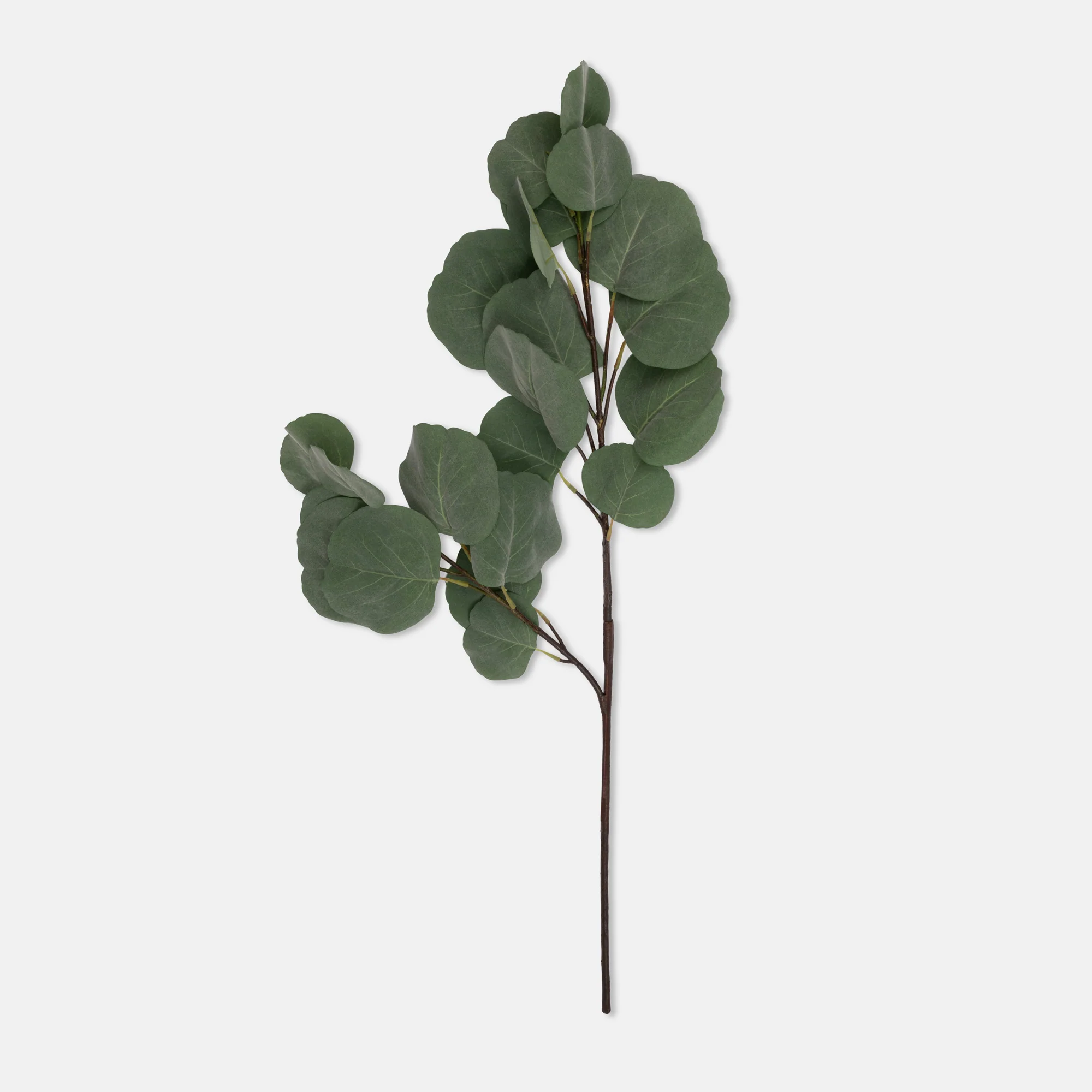 Artificial Eucalyptus Silver Dollar - Image 3