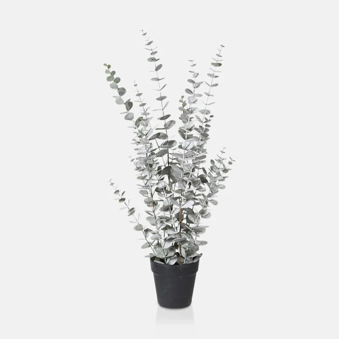 Artificial Eucalyptus Silver in Pot - Image 2