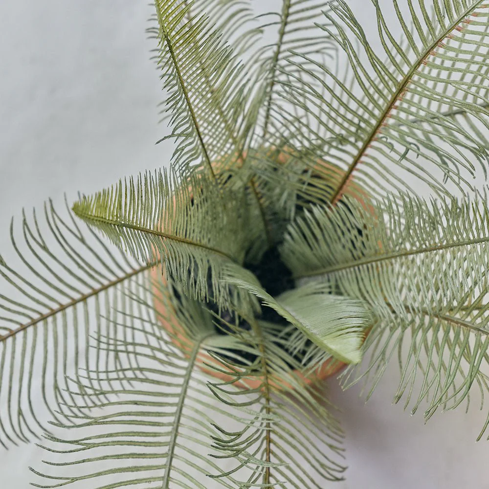 Artificial Fern in Clay Pot - Image 3