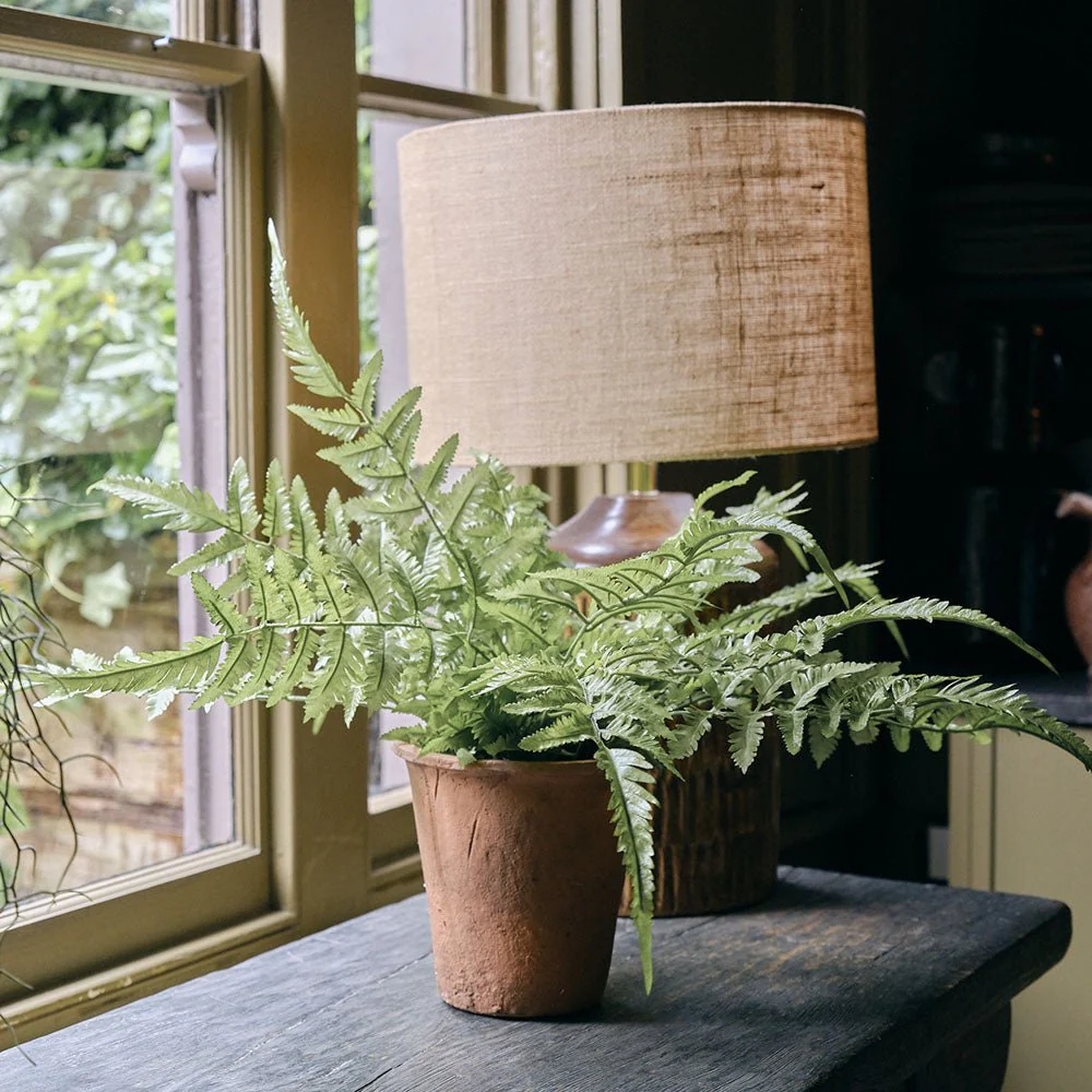 Artificial Fern in Terracotta Pot - Image 4