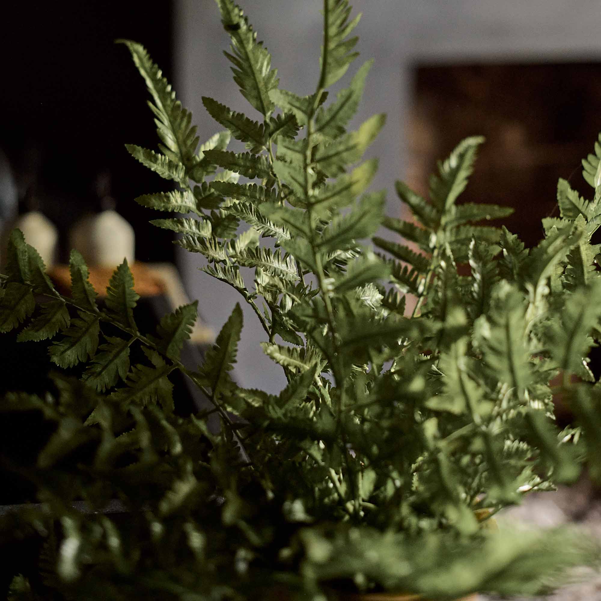 Artificial Fern in Terracotta Pot - Image 5