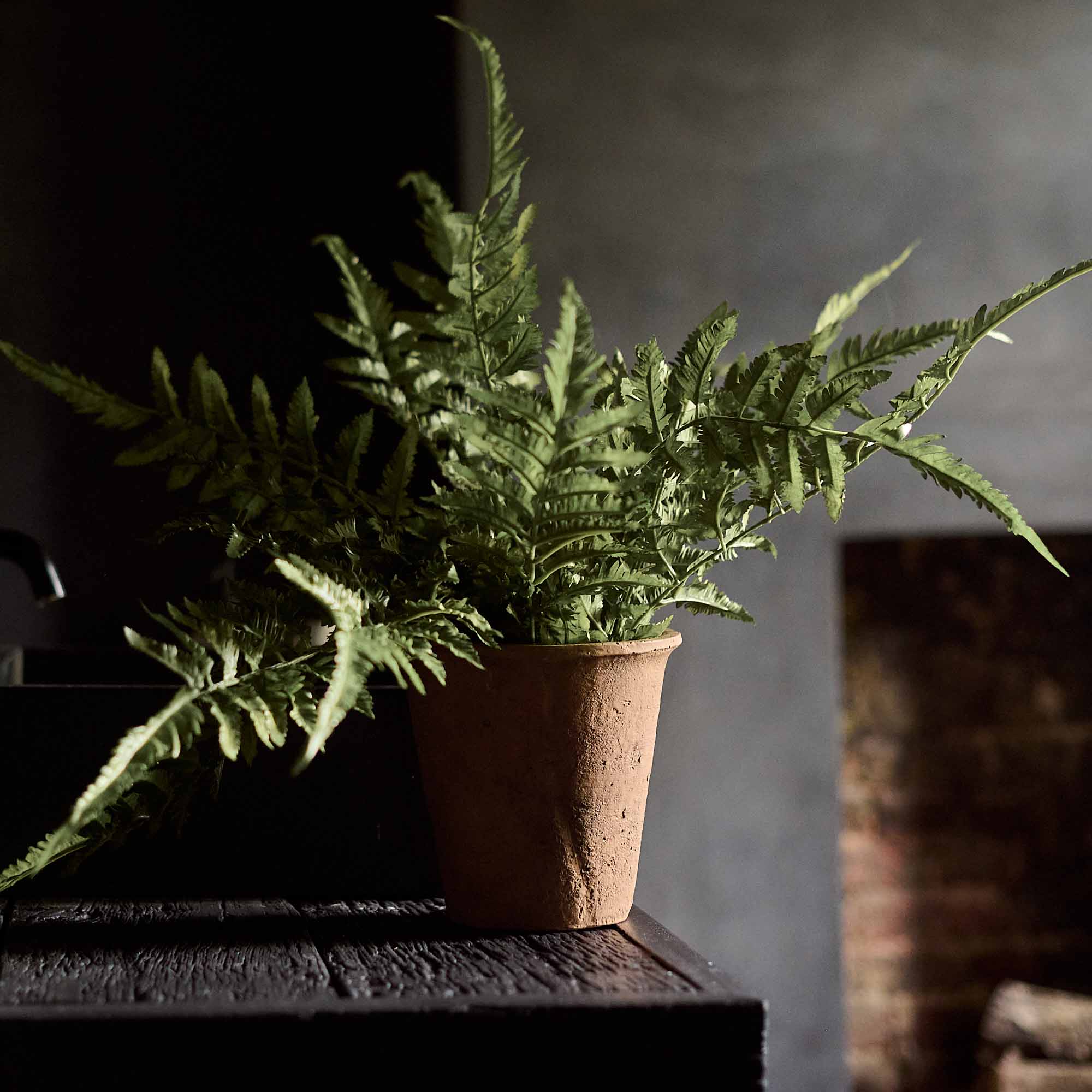 Artificial Fern in Terracotta Pot - Image 6