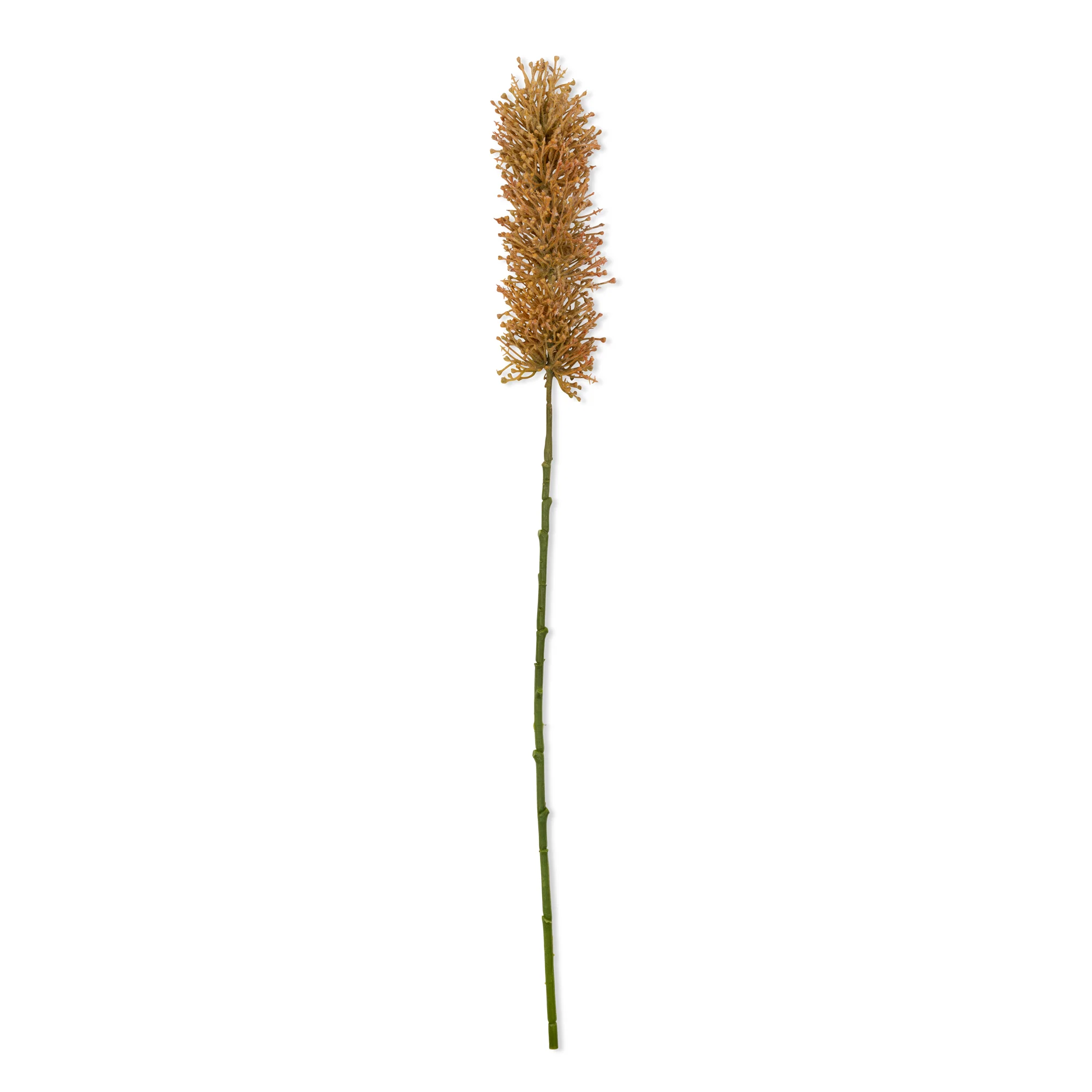 Artificial Foxtail Lily, Honey - Image 3