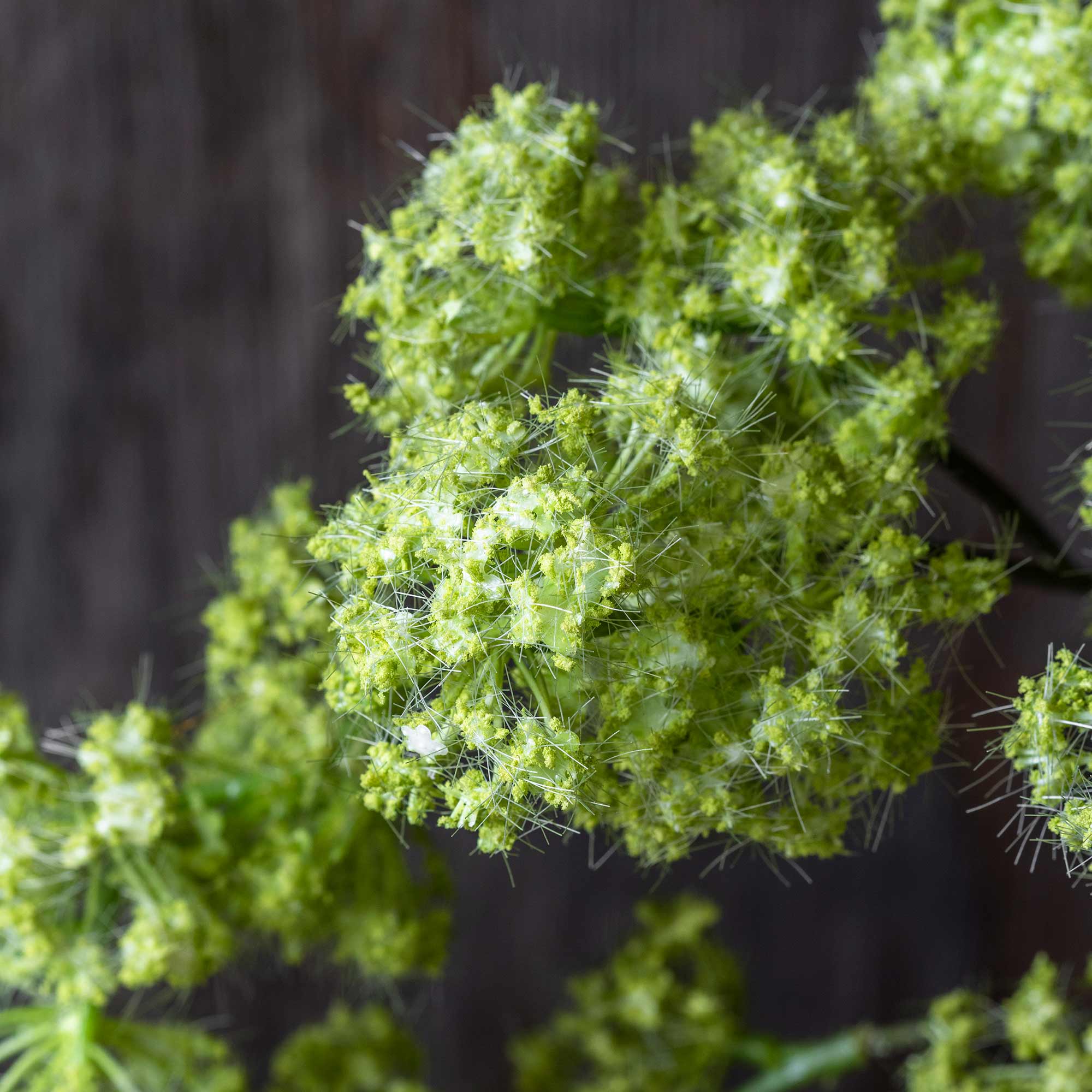 Artificial Guelder, Spring Green - Image 6