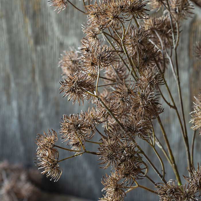 Artificial Hazel - Image 2