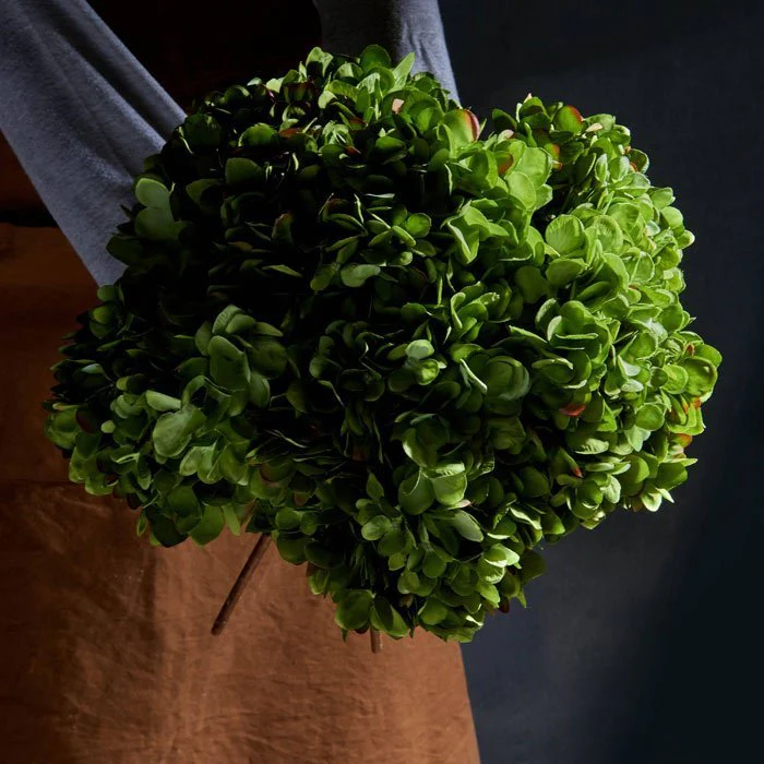 Artificial Hydrangea, Green - Image 4