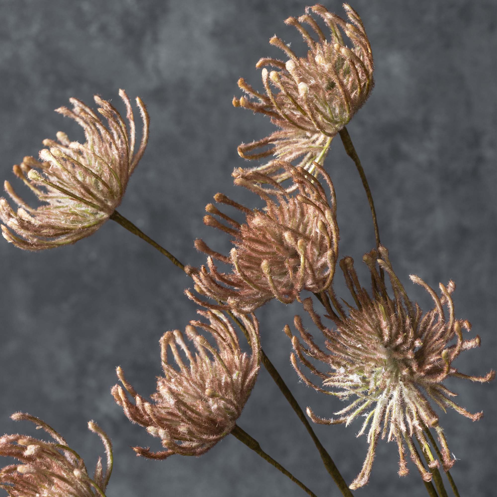 Artificial Leucospermum, Blush - Image 2