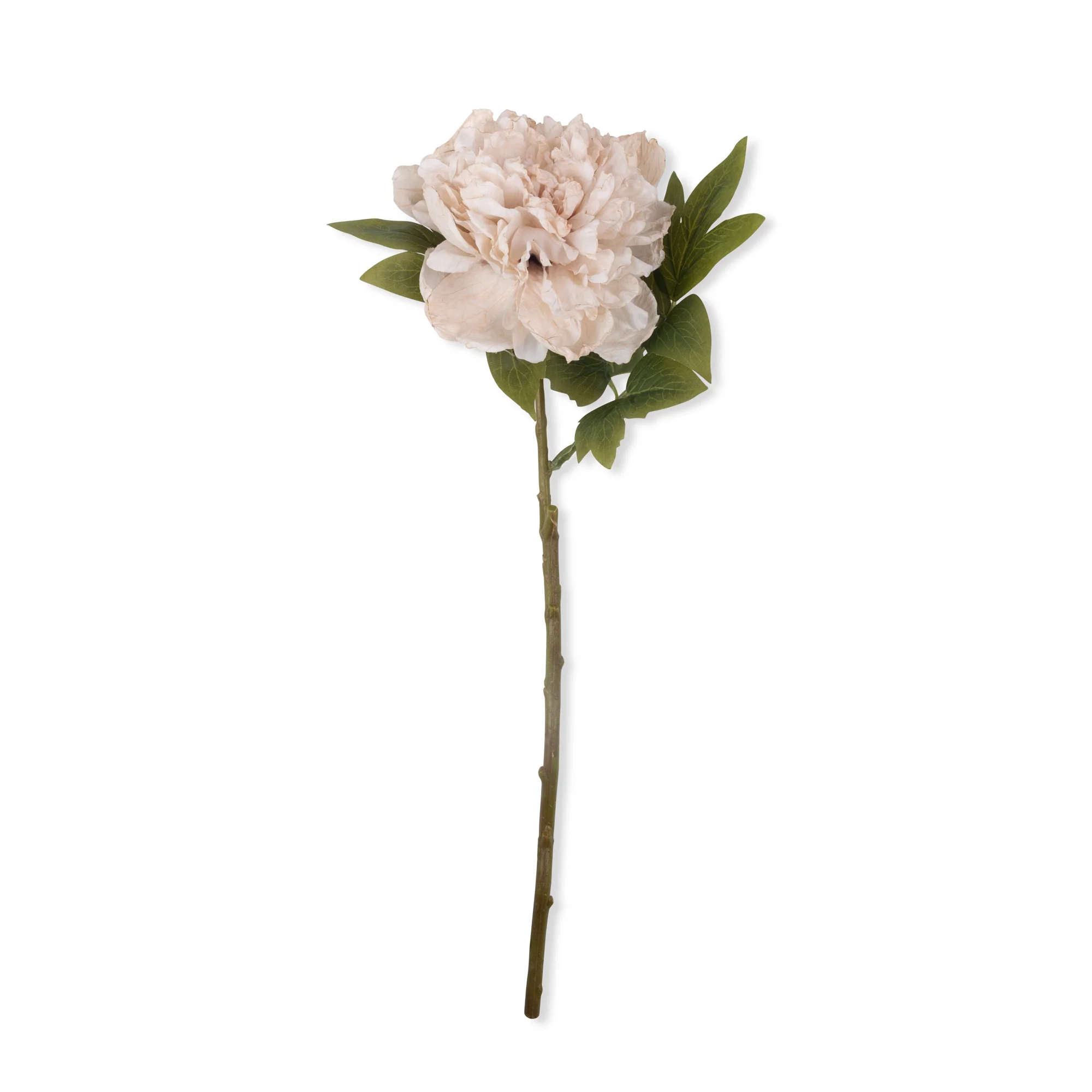 Artificial Peony, Evening Dew - Image 3
